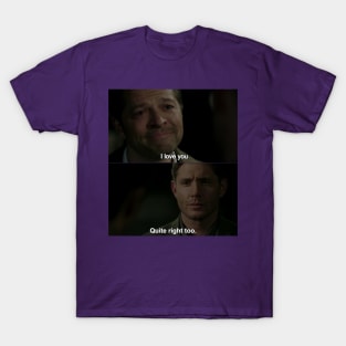 Superwho Destiel meme T-Shirt